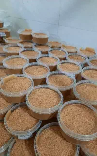 ارسال عمده ارده وحلوا ارده، بروجرد