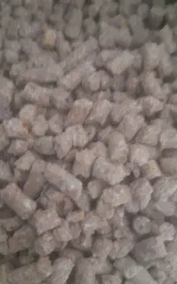 خوراک دام