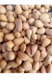 فروش الوک