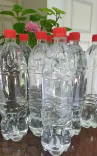 عرق بهار