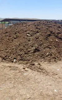 فروش کود گاوی