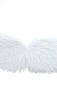 بال فرشته