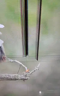 تلویزیون سامسونگ ۵۵ اینچ پنل شکسته