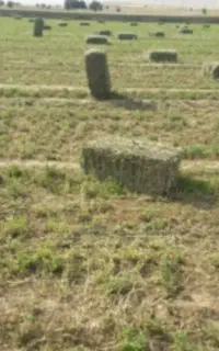 علف پرس شده روستای آغگل