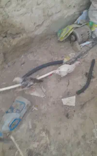 جوجه دوماهه