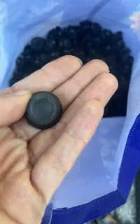 سر آنالوگ ps4