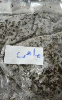 سبزی تازه خرده شده آماده طبخ با کیفیت عالی