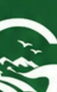گیلانت دامنه ی سایت اینترنتی