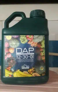 گالن ۵ لیتری ۲۰ هزار