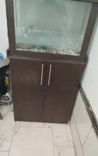 آکواریو