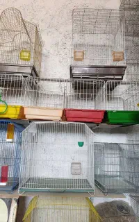 قفس و لوازم قفس پرنده قیمت فاکتور هم کمتر زیر قیمت