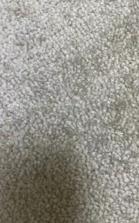 فروش موکت تمیز در حد نو