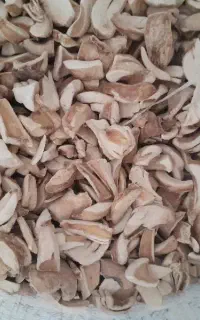 گل نگین