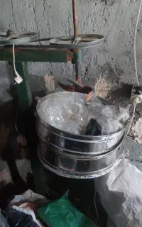 تخمک ساز اصل