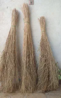 جارو شهرداری