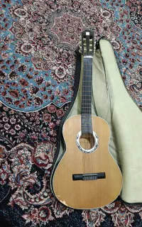 گیتار دیاموند