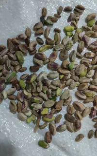 خرید پسته زردو گالو روابی و پوست