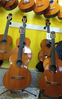 فروش یاماها تک عمده گیتارهای ساخته‌ای اندونزی .ف