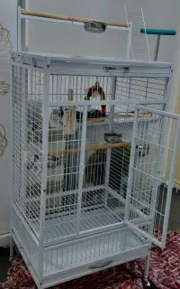 قفس بزرگ کاسکو