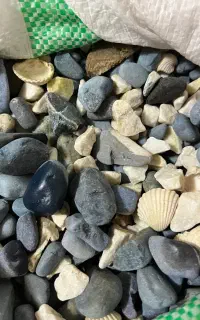 سنگ اکواریم معاوضه با ماهی