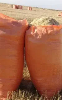 ۱۰۰باک کاه دیم تمیزباکی ۴۰۰هزار