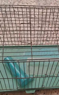 قفس  با جای دون وجای آب