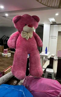 خرس تدی بزرگ۲متری