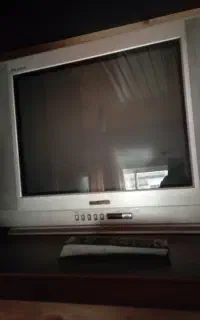 تلویزیون