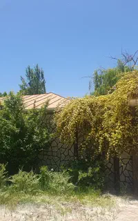 نگهبان و سرایدار باغ