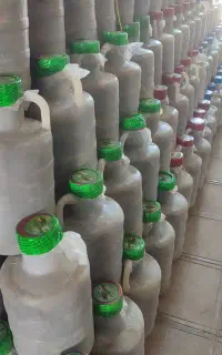 خیارشور همدان
