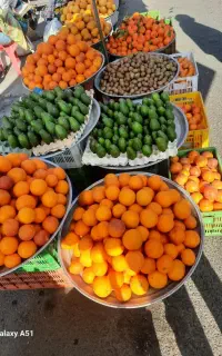فروشنده دست فروشی واقع در بازار ماهی فروشان