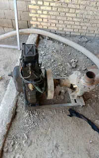 متور آب مارگو