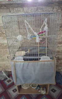 قفس پرنده