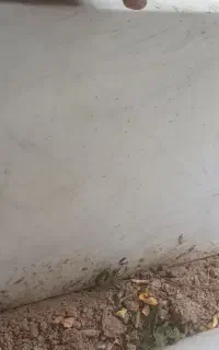 سنگ اپن