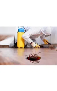 سم پاشی، سمپاشی سوسک، ساس، کنه، ساس