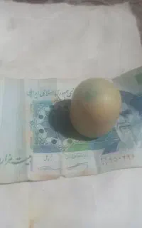 سنگ هرکره اصل