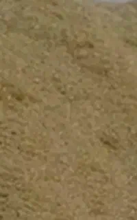 علوفه  در کشاورزی