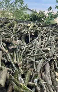 خرید و فروش چوب