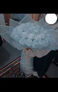 گل روبانی