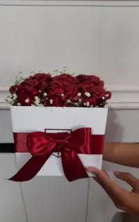 گل ربانی سارا