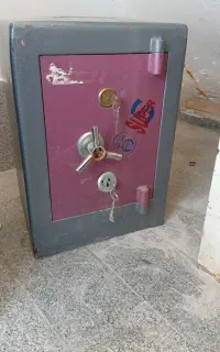 فروش گاو صندوق