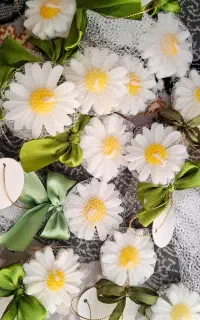 گیفت بابونه زیبا یاد بود بابونه  شمع بابونه
