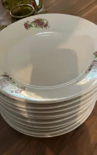بشقاب غذا خوری