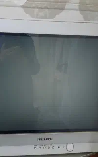تلویزیون
