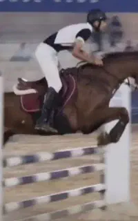 اسب پرشی