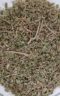 آویشن کوهی