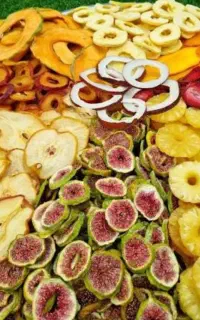 دستگاه خشک کن میوه صنعتی و خانگیa29