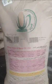بذر ذرت ۷۰۴مغان اردبیل۱۴۰۳ درجه یک