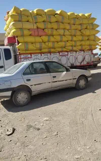فروش کاه گندم ریز و درشت