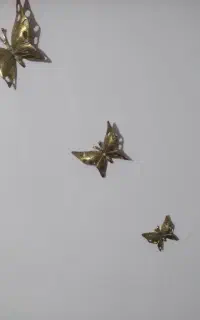 وسیله نونو